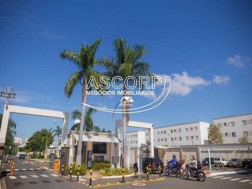 Imagem 28 de 30 de Lindo Apartamento No Condomínio Parque Paradiso.(código Ap00745) - Ap00745 - 71062595