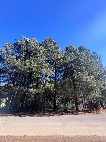 Terreno En Barrio Chapelco Golf