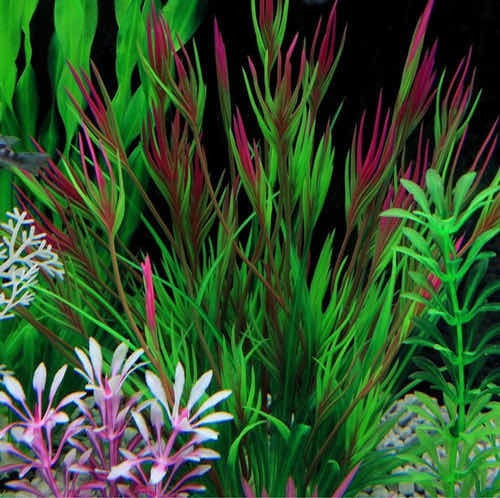Imagen 3 de 4 de Paquete De 14 Plantas Artificiales Para Acuario Pecera Peces