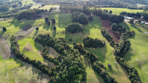 Imagen 14 de 16 de Campito De 7ha Mirador Del Mañio - Los Muermos