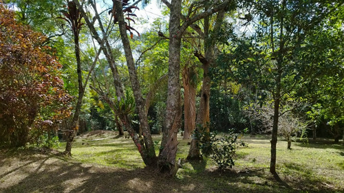 Excelente Chácara Com Piscina Cod: 5210