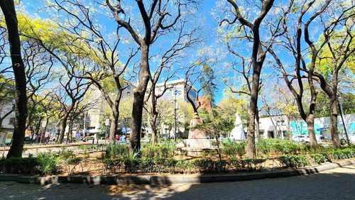 Oficinas En Plaza Necaxa, Cuauhtémoc Cdmx