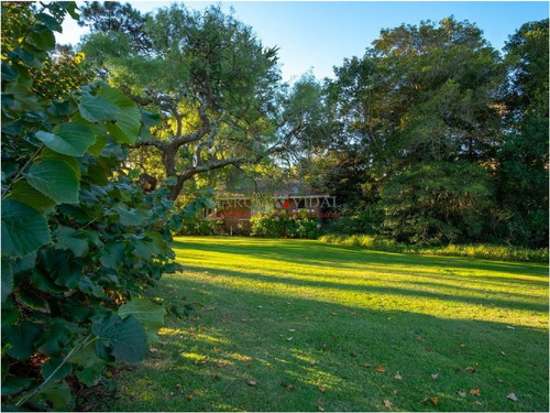 Imagen 8 de 30 de Venta De Casa En Barrio Golf