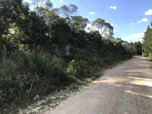 Chácara A Venda No Bairro Centro Em Bocaiúva Do Sul - Pr. - 486-1