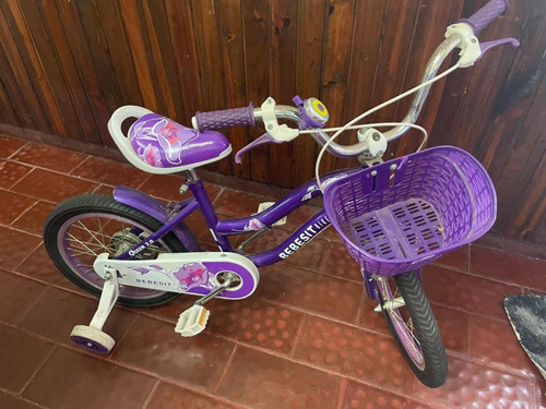 Bicicleta Infantil Bebesit