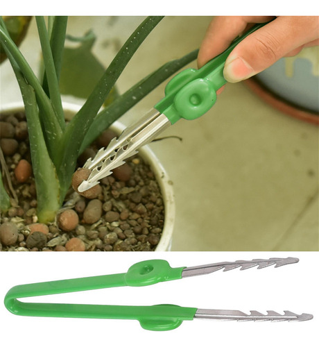 Suculentas Pinzas Herramientas Bonsai Tool Pinzas De Punta