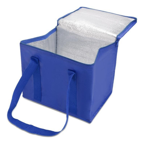 Bolsa térmica roja de 12 litros