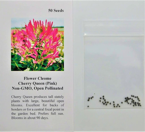 Davids Garden Seeds Flower Cleome Cherry Queen Sal3445 (ros