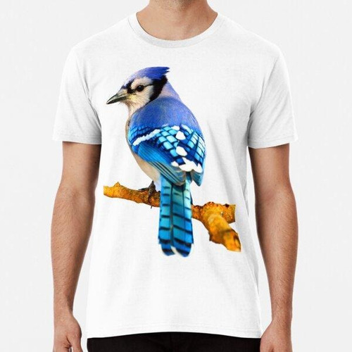 Remera Blue Jay - Alta Definición Blue Jay Bird Best Hd Blue