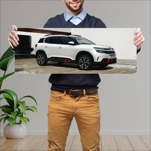 Cuadro 30x80cm Auto 2018 Citroen C5 Aircross 781 79