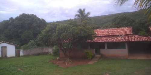 Fazenda Para Venda Em Monjolos, Quebra Pé, 4 Dormitórios, 1 Banheiro - F16_1-1713401