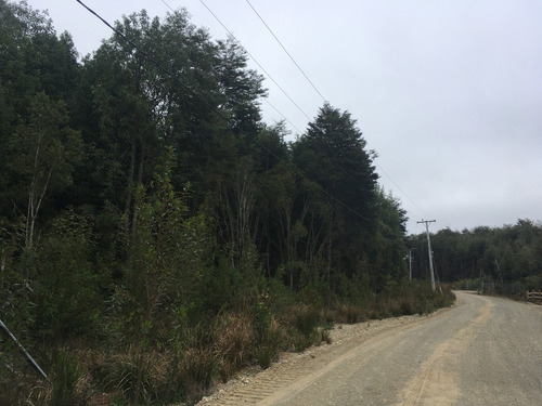 Oportunidad, Parcela A 22km Del Centro De Puerto Varas