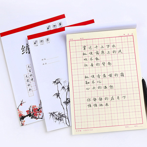 Cuaderno De Práctica De Escritura China, 4 Unidades