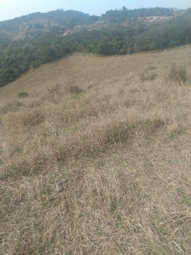 Imagem 6 de 26 de 01- Terrenos Documentados Na Frente Da Represa Com Fundo Para Mata !