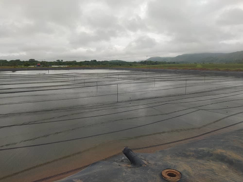 Imagen 4 de 5 de Malla Antipajaro Rollo De 900 M2 Lagunas Cultivo Galpon