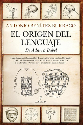 Libro: Origen Del Lenguaje,el. Benitez Burraco,antonio. Almu