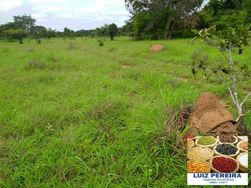 Imagem 15 de 15 de Fazenda A Venda No Formoso Do Araguaia-to-de 240 Alqueirões (dupla Aptidão) - 1669