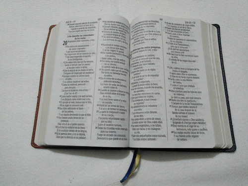 Imagen 2 de 4 de Biblia Rvr 1960 Letra Grande Azul Cafe Usada