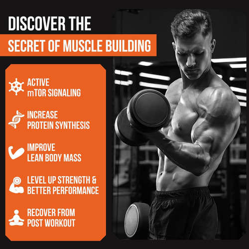 2000 Mg De Ácido Fosfatídico Liposomal (pa) | Muscle De De Y