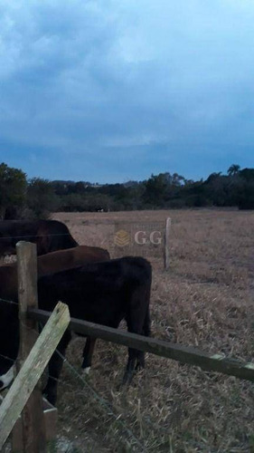 Imagem 4 de 6 de Terreno À Venda, 500 M² Por R$ 40.000,00 - Costa Do Oveiro - Viamão/rs - Te0290