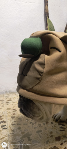 Sudadera De Flow (capibara) Para Bulldogs