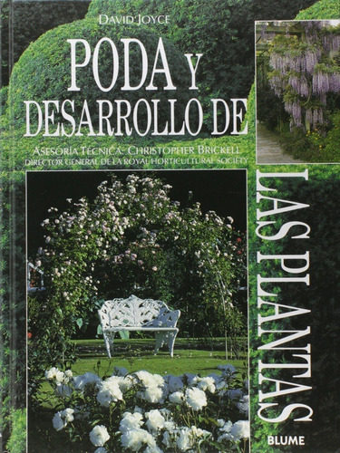 Joyce: Poda Y Desarrollo De Las Plantas