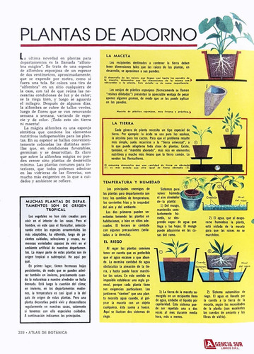Atlas De Botánica