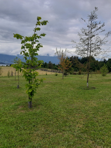 Parcelas Vista Al Lago Y Volcán, Los Riscos Pucón