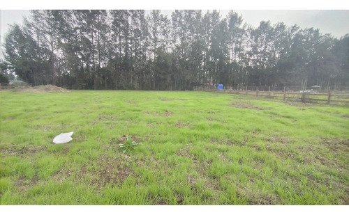 Se Vende Excelente Parcela En Los Laureles
