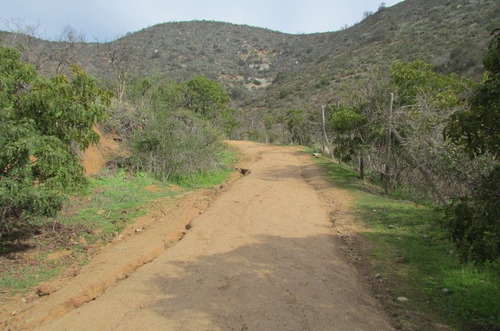 Vende 10 Hectareas, Rol Propio, Geografia Variada, Curacaví