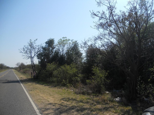 Imagen 10 de 14 de Campo En Venta De 53000m2 Ubicado En La Paz Cordoba. A 15 Kms Merlo (s.l)
