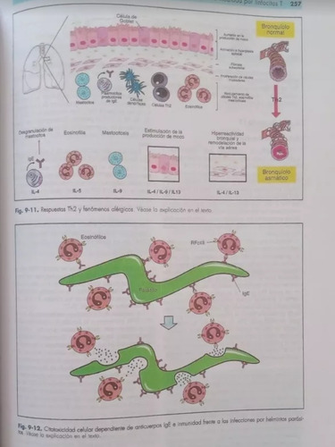 Inmunología Fainboim Geffner