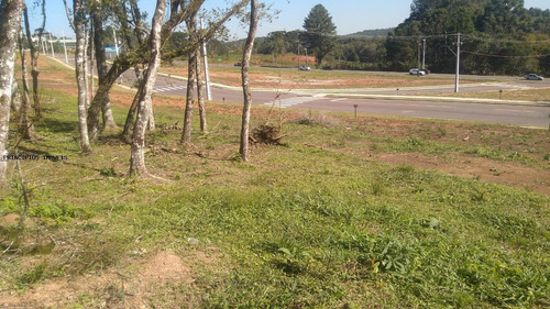 Imagem 5 de 15 de Terreno Para Venda Em Campina Grande Do Sul, Novo Daher - 00283b8_2-1195590