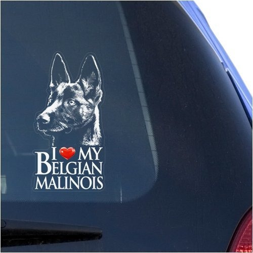 I Love My Belgian Malinois Clear Vinyl Decal Sticker Pa