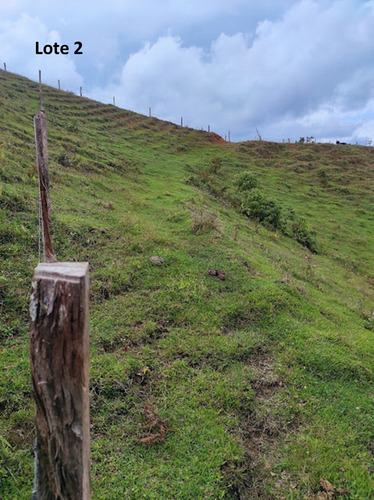 Venta De Lote En San Vicente De Ferrer, Antioquia