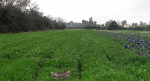 Imagen 2 de 13 de Terreno - Villa Astolfi