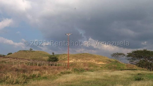 Imagen 2 de 15 de Finca En Venta Tinaquillo Cojedes Gav