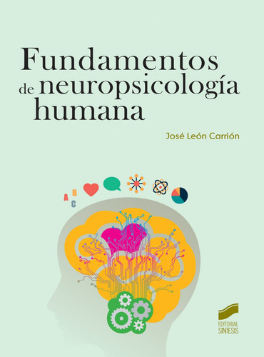 Fundamentos De Neuropsicologia Humana Vv.aa. Sintesis Editor