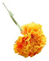 Comprar Ramo De Boda Con Claveles Artificiales Y Flores Artificiales