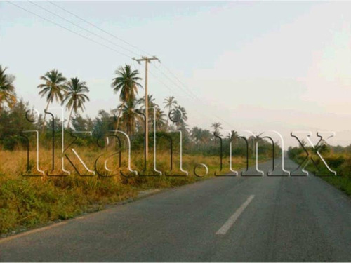 Imagen 4 de 6 de Terreno En Venta Carretera A La Termoelectrica