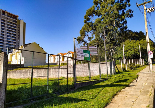 Imagem 7 de 9 de Terreno Para Alugar - 00823.004