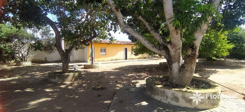 Imagem 15 de 17 de Chácara Com 4 Dormitórios À Venda, 3.300 M² Por R$ 1.200.000 - Centro - Sâo José/ba - Ch0001