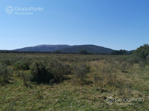 Chacra En Venta - Alquiler Anual En Cerros Azules -piriapolis
