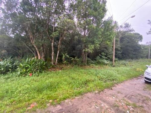 Imagem 2 de 2 de Lotes Em Itanhaém Balneário Tupy Lado Serra.
