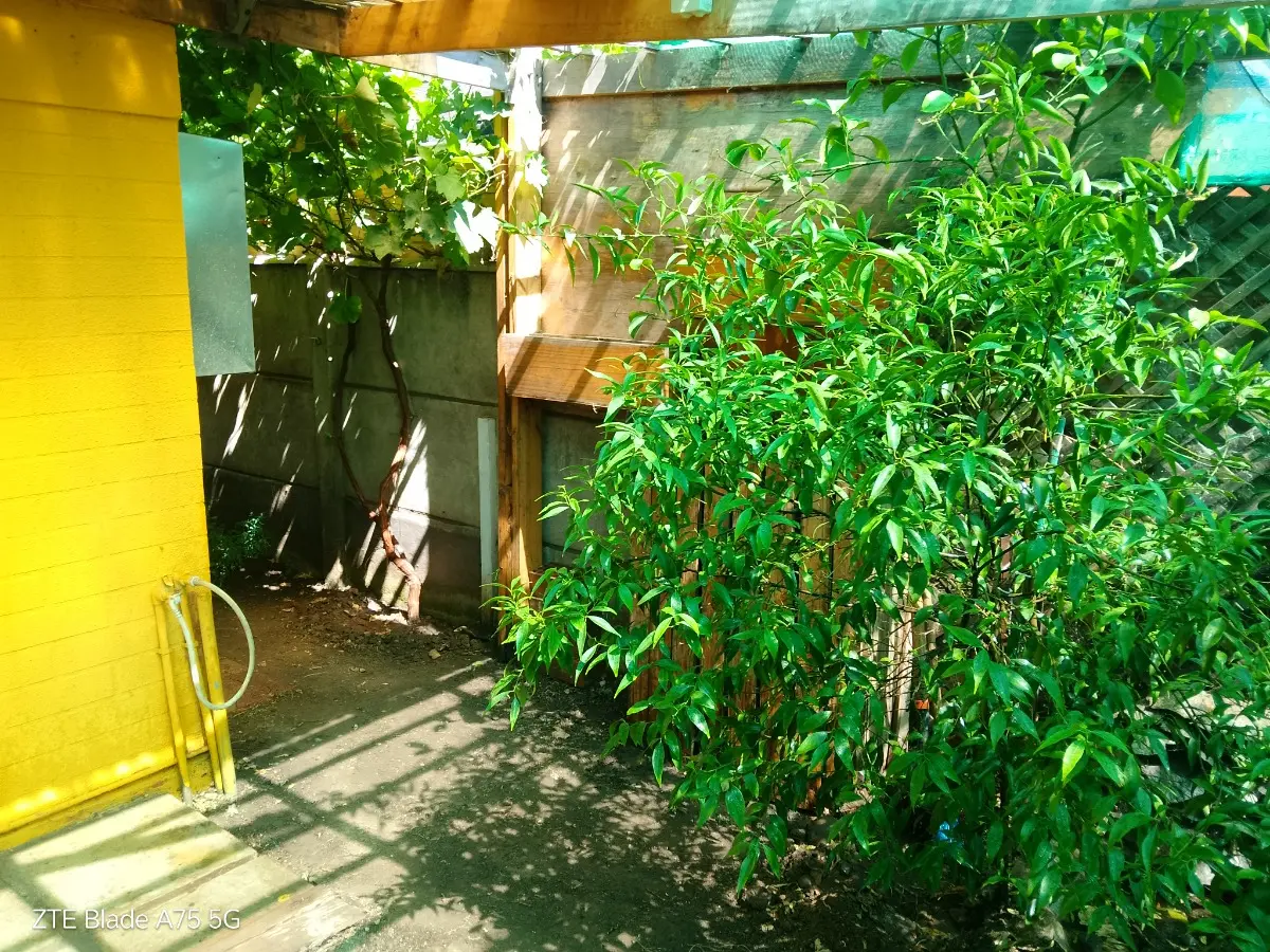 Imagen 4 de 27 de Casa Ubicada En Coltauco, Residencial La Portada