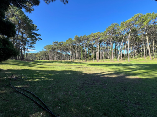 Lote Residencial Con Salida Al Golf En Carilo