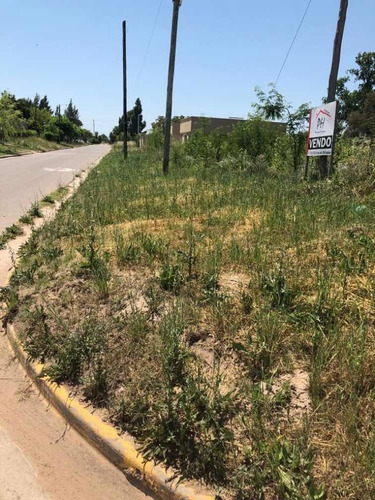 Imagen 2 de 3 de Venta De Terrenos, Muy Buena Ubicación -esperamos Tu Oferta.