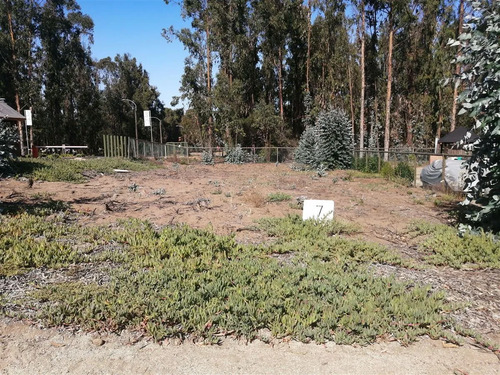 Sitio Venta Costa Quilén 1, Caleta Horcón
