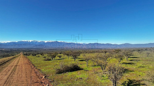 Sitios En Venta En Catapilco, Comuna De Zapallar