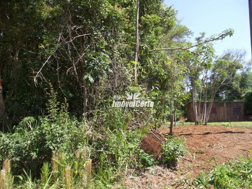 Imagem 9 de 14 de Chácara À Venda, 4000 M² Por R$ 75.000,00 - Rodeio Da Chapada - Balsa Nova/pr - Ch0011